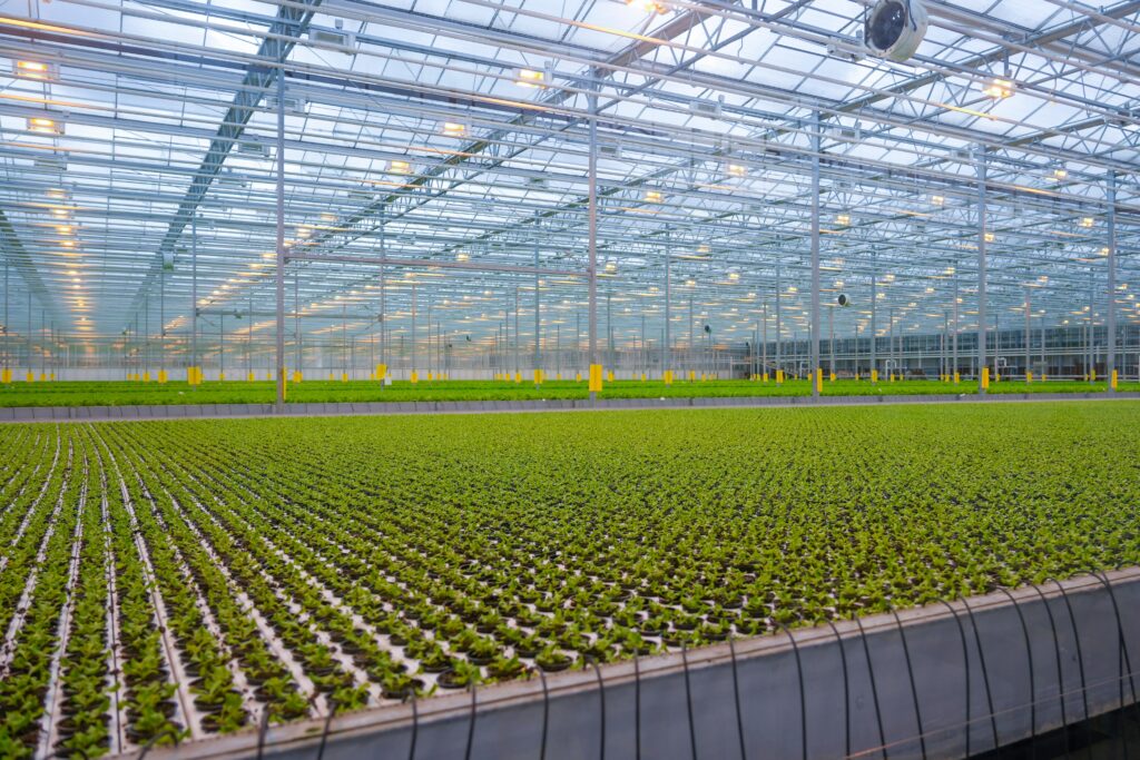 Waste heat from data centers could warm large commercial greenhouses as part of a new energy model proposed by researchers at Penn State.